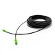 microscope fiber